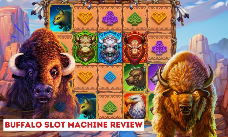 How to Play Buffalo Slot Machine: A Comprehensive Guide